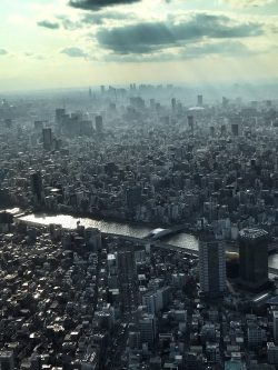 View from the tallest building, Tokyo