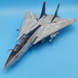 Amazing 1/48 scale F-14 Tomcat