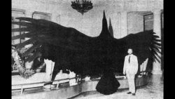 This size comparison between a human and one of the largest birds to exist; Argentavis