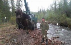 Thats a big bear