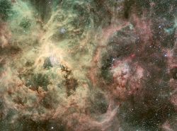 The largest and most violent star-forming region in our Local Group of galaxies the Tarantula Ne ...