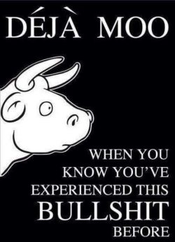 Deja Moo