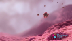 How Coronavirus vaccines work