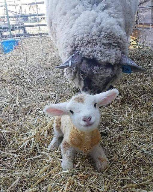 Hello, I’m 15 minutes old