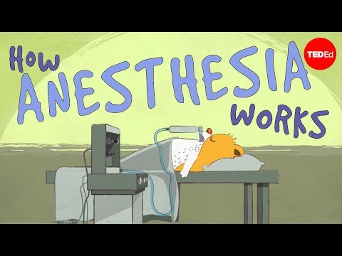 How does anesthesia work? – Steven Zheng – YouTube