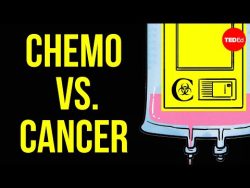 How does chemotherapy work? – Hyunsoo Joshua No – YouTube
