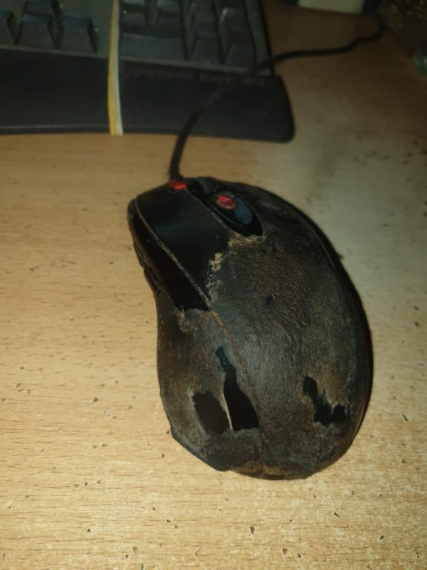 OMFG, the mouse is growing skin!