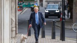 Boris Johnson ‘dumps animal cruelty pledges’ from Queen’s Speech to please rig ...