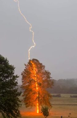 Debbie Parker captured the exact moment a lightning hit a tree in Moorefield, Hardy County, West ...