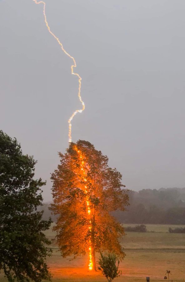 Debbie Parker captured the exact moment a lightning hit a tree in Moorefield, Hardy County, West ...