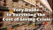 Surviving the Tories