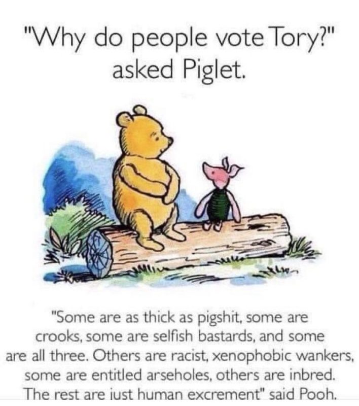 Tory Pooh