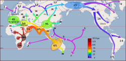Early human migrations