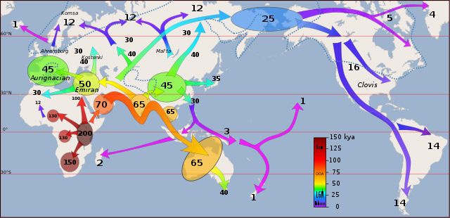 Early human migrations