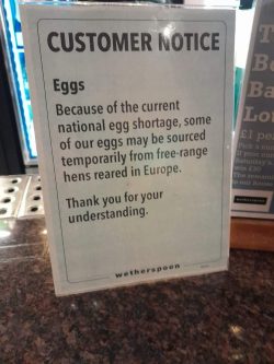 :) The arch Brexshitter of Wetherspoons having to buy foreign eggs :)
