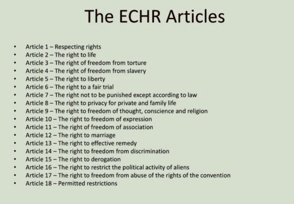 The ECHR articles