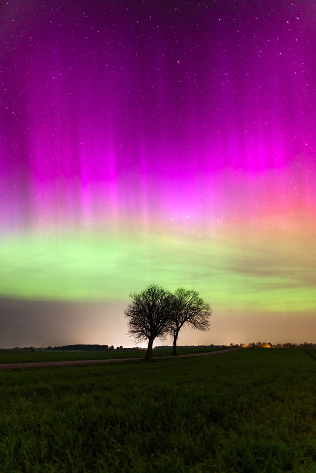 ABSOLUTELY INCREDIBLE display!!! IN DENMARK, In the end of April, just outside Copenhagen