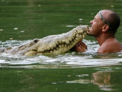 A local fisherman in Costa Rica nursed a crocodile back to health after it had been shot in the  ...