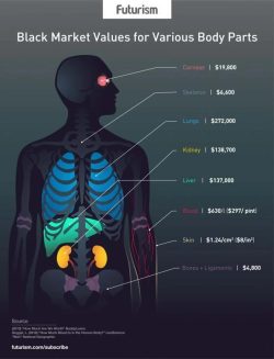 Black market organ prices