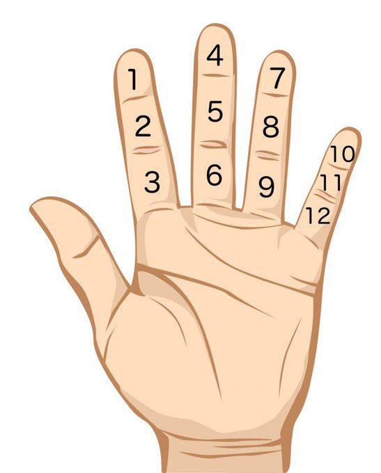 The number of finger joints on each hand (excluding the thumb) makes it possible to count to 12  ...