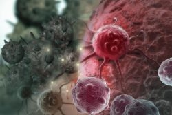 New discovery could prove pivotal in stopping cancer spreading