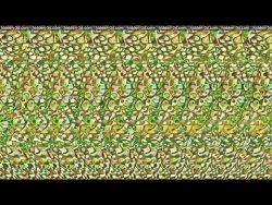 YELLOW TRUNKS – animated 3D stereogram with a moving hidden picture – YouTube