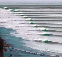 This wave is called Chicama, it appears at a single point on the Peruvian coast and is the only  ...