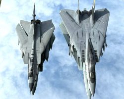Tornado and F-14