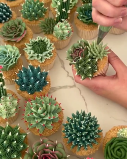 Cupcakes decorated as succulents