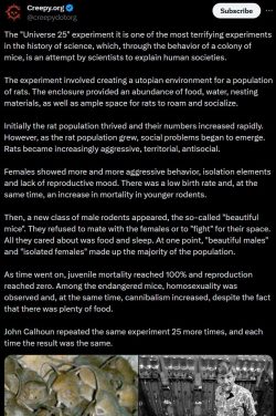 The “Universe 25” experiment it is one of the most terrifying experiments in the his ...