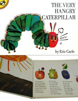 very hangry caterpillar