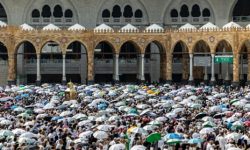 More than 550 hajj pilgrims die in Mecca as temperatures exceed 50C