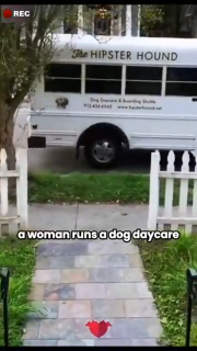 Dogs taking the bus to doggie daycare.