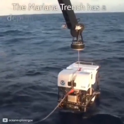 A camera is lowered to the 11,000-meter depth of the Mariana Trench, the deepest point on earth.