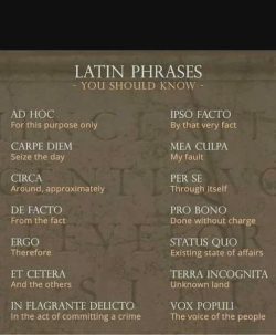 Latin phrases