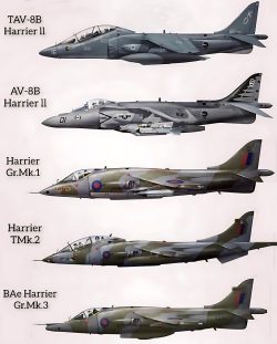 Harrier types