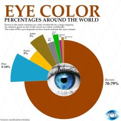 Eye colours