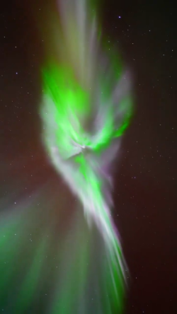 Here’s what the aurora looked in like in real-time last night over our heads in Fairbanks, ...