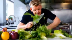 Gordon Ramsay vs AI