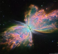 Butterfly nebula