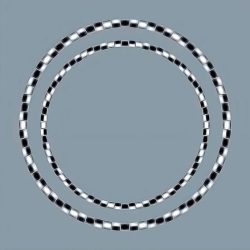 2 circles