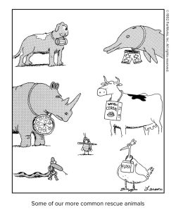 Far side