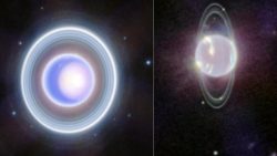 Brian Cox: The Planck scale is where physics breaks – Big Think