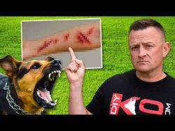 How to STOP a DOG ATTACK in 3 Seconds – GUARANTEED! – YouTube