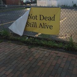When people ask me how I am