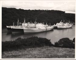 Carrick roads
