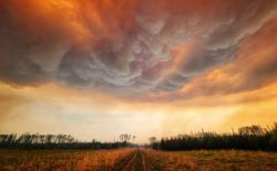 Unmanageable: On Refusing Fear – by Tom Joad