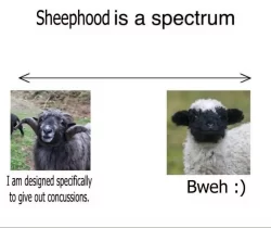 .