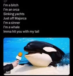 .